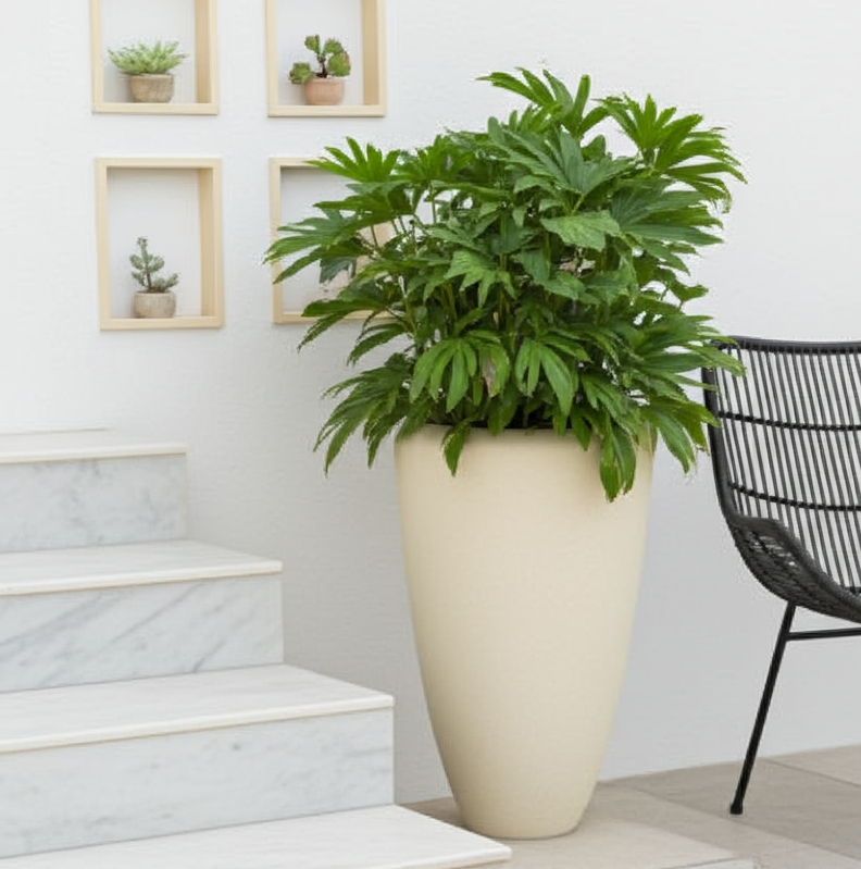 planter