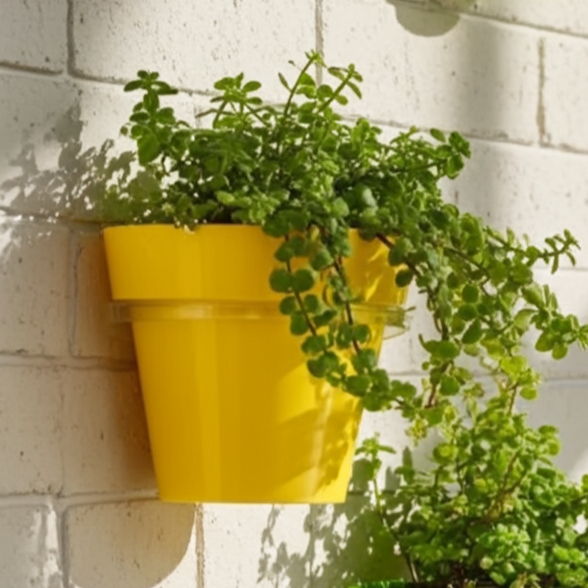 wall mountable planters