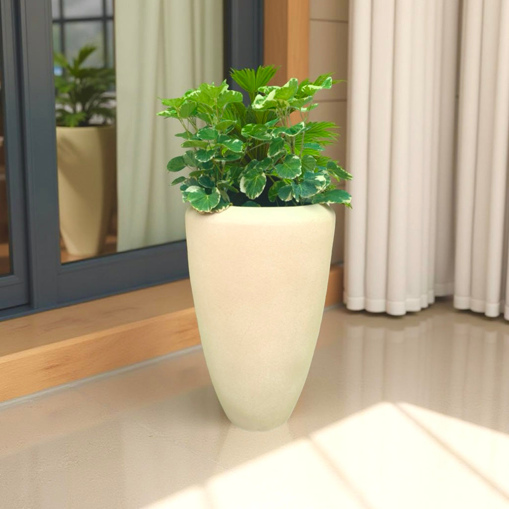 Buy Tulip planter flower pot online.