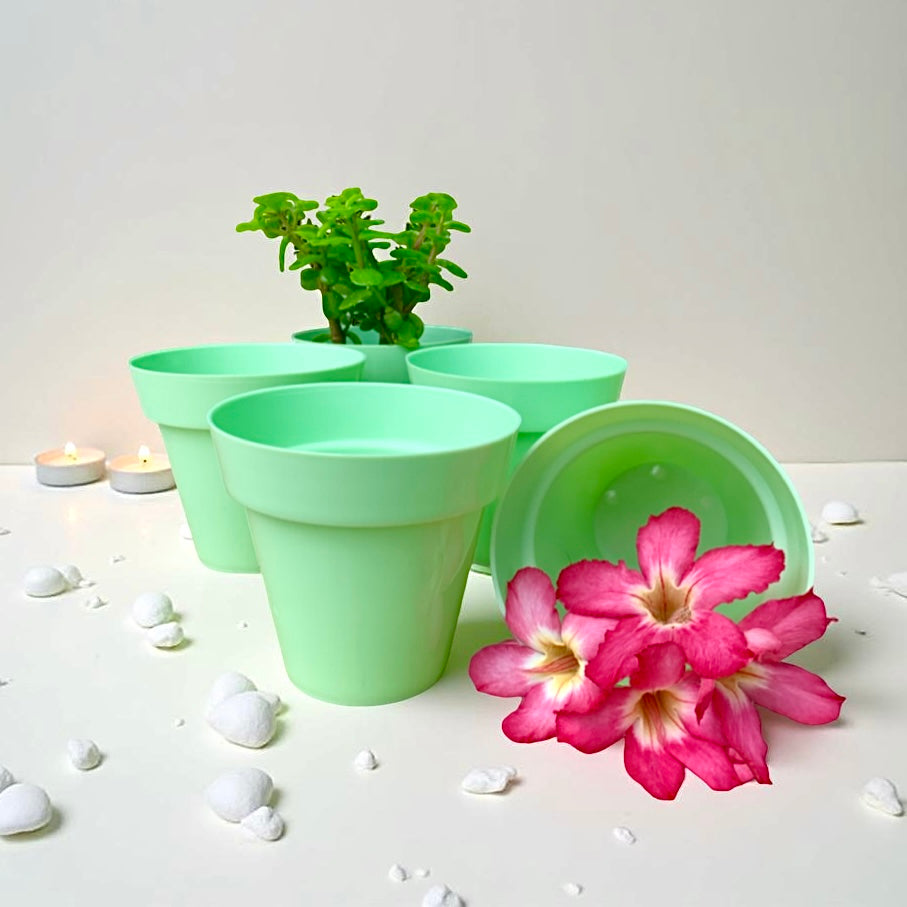 Planters for succulents and cactus set of 5.