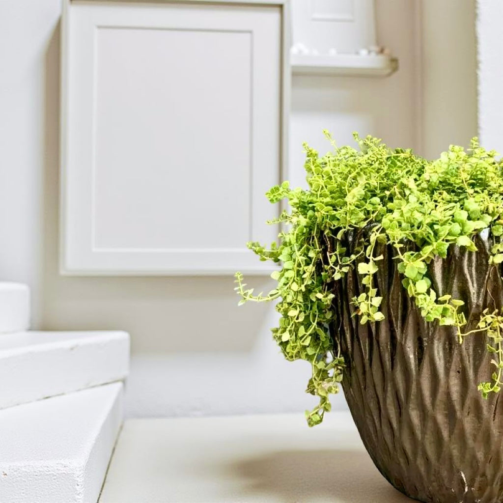 Flower pots