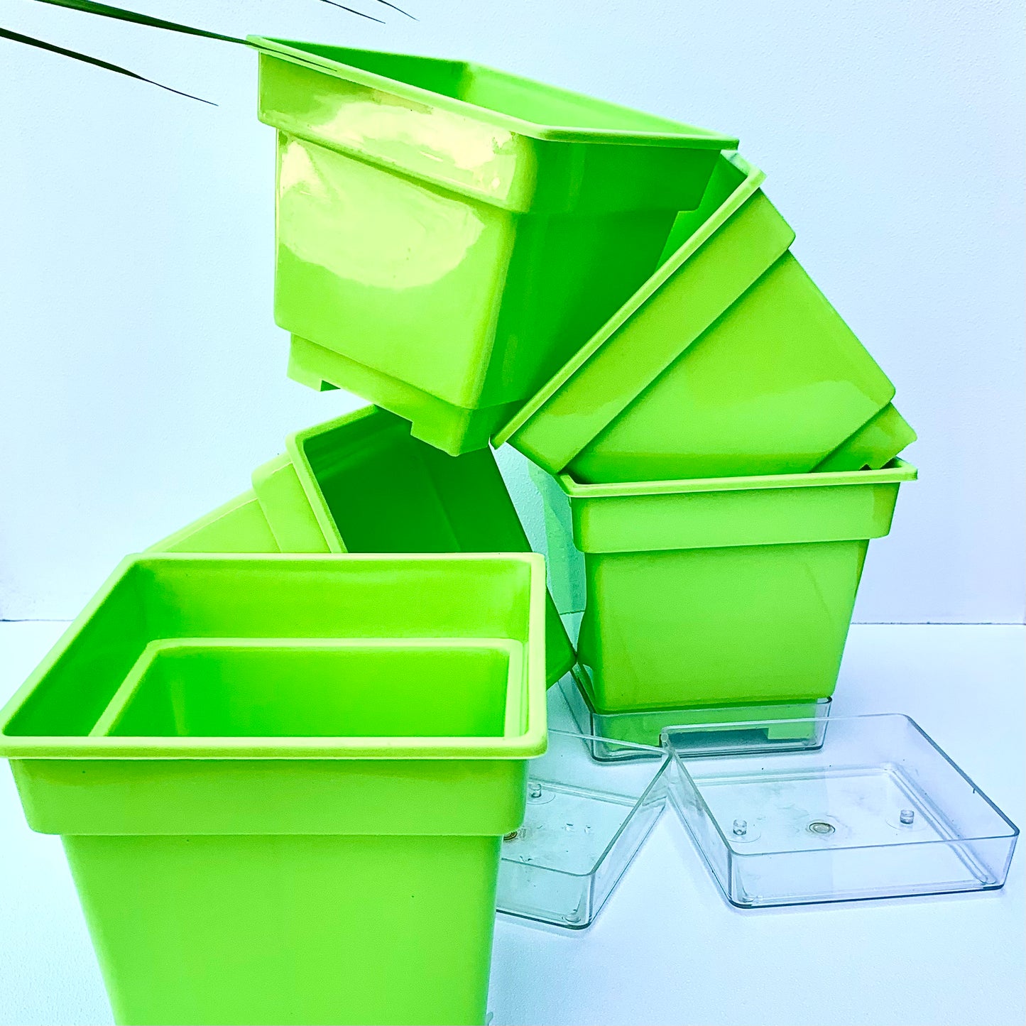 Plastic planter 6" size set of 5.