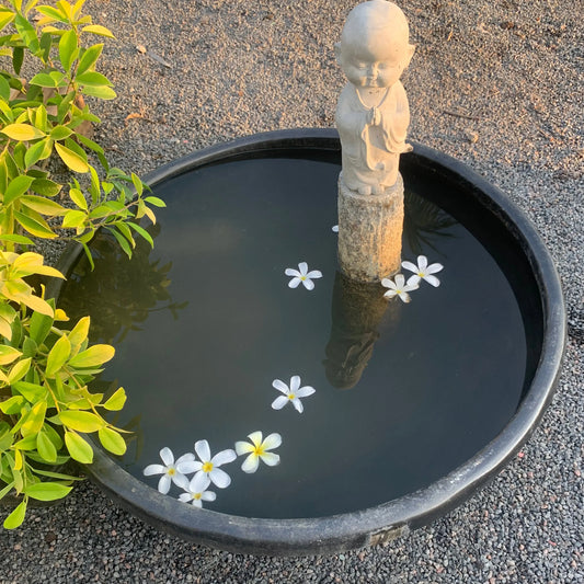 Lotus pots for aquatic plants