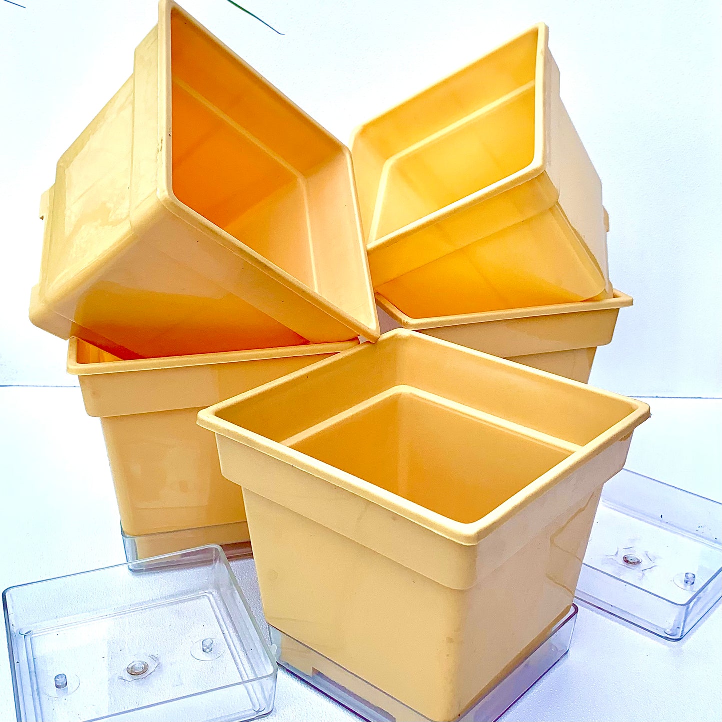 Plastic planter 6" size set of 5.