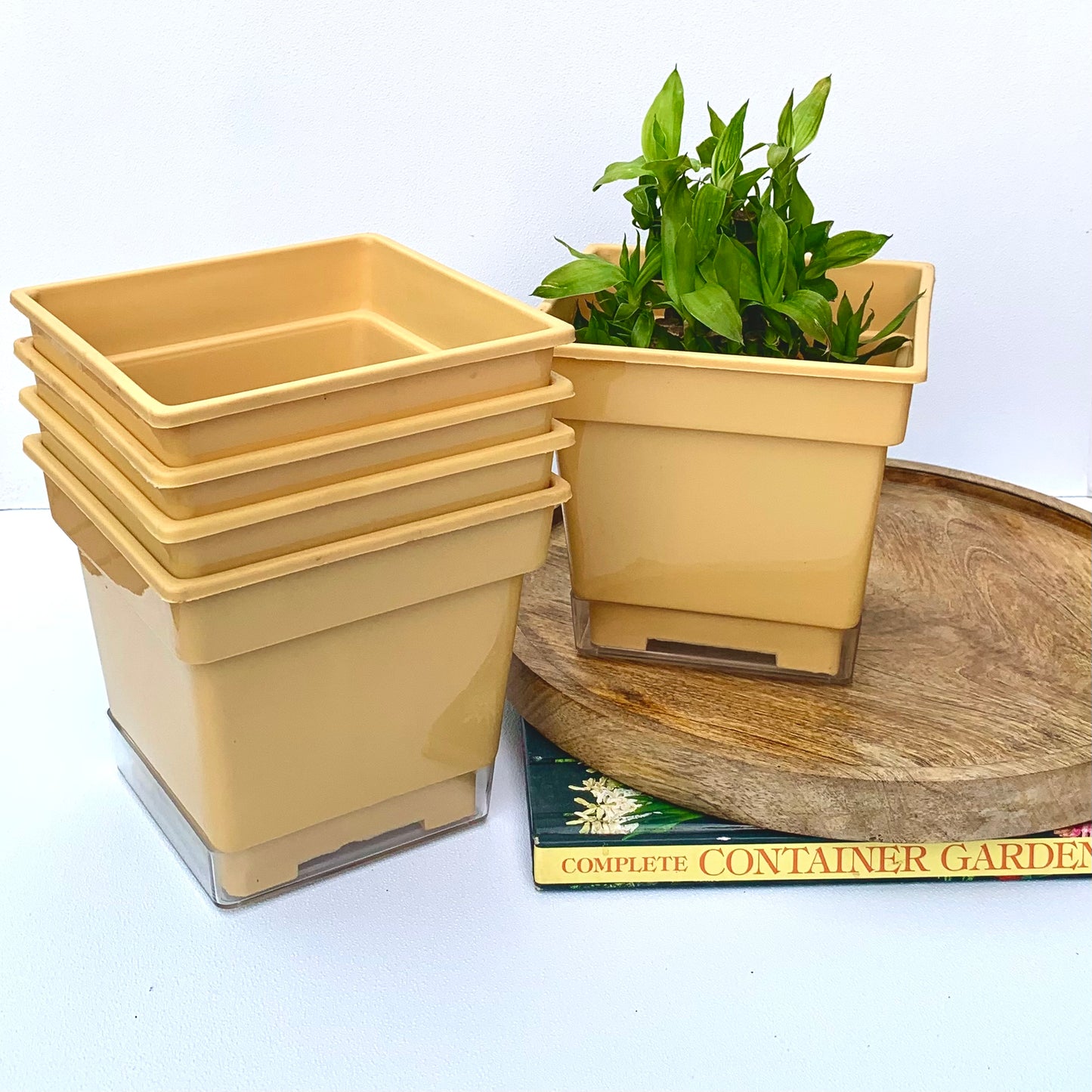 Plastic planter 6" size set of 5.