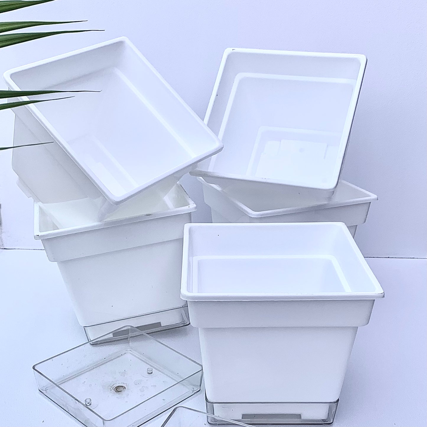 Plastic planter 6" size set of 5.