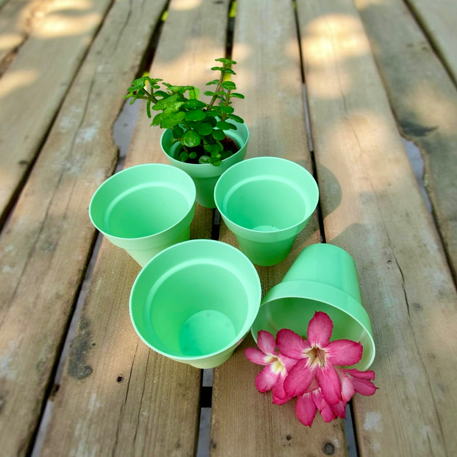 Planters for succulents and cactus set of 5.