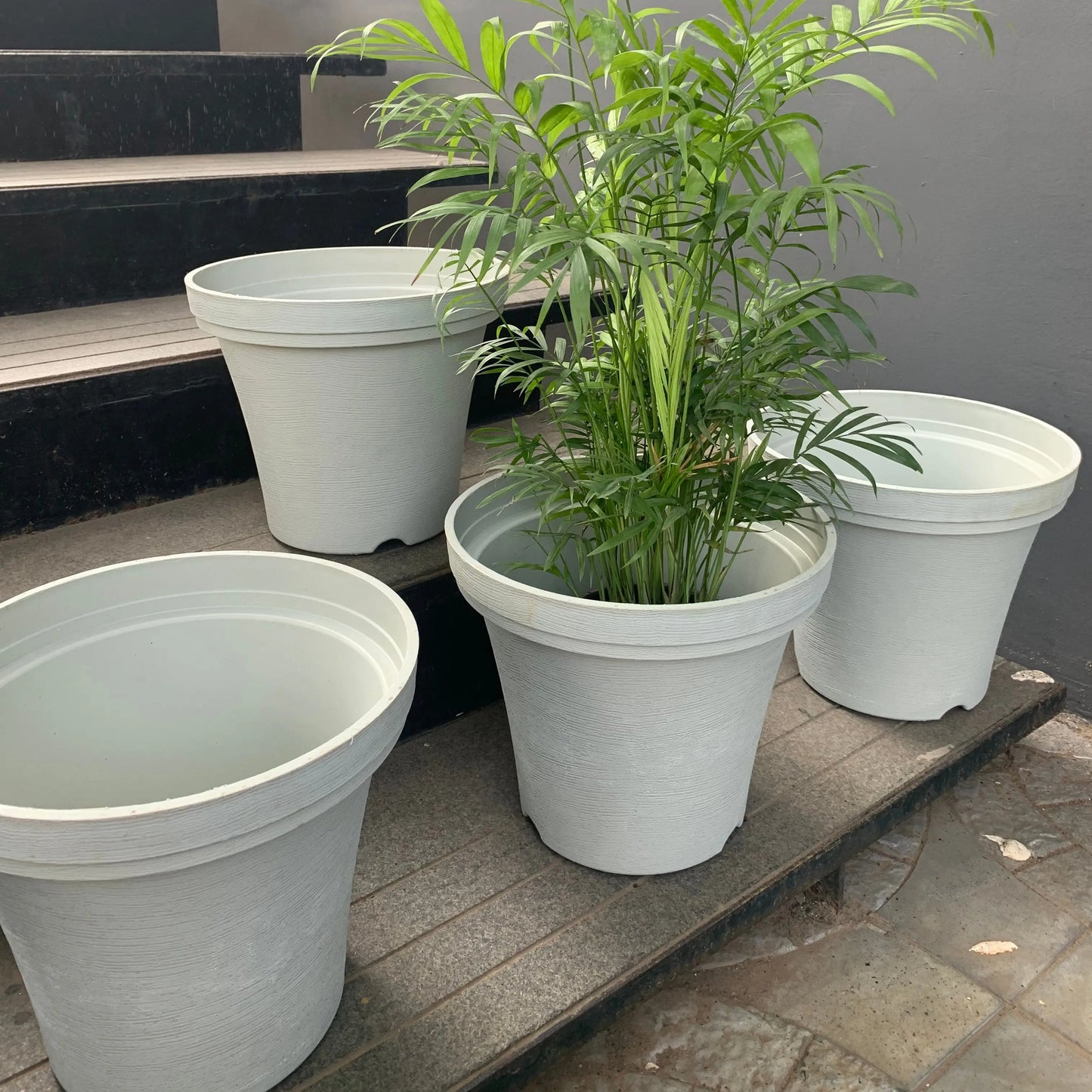 Wonder planters 10.5" size set of 5 - The Plant Shop