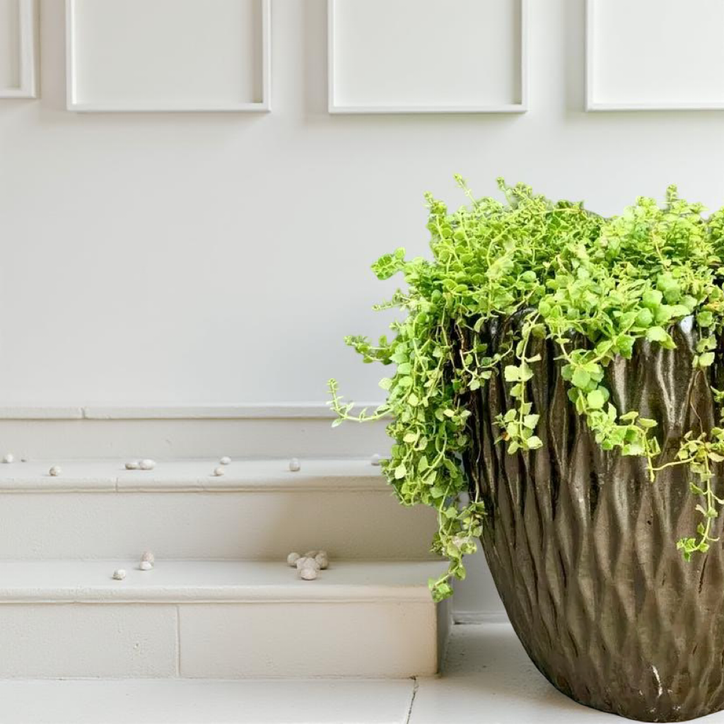Planter pots