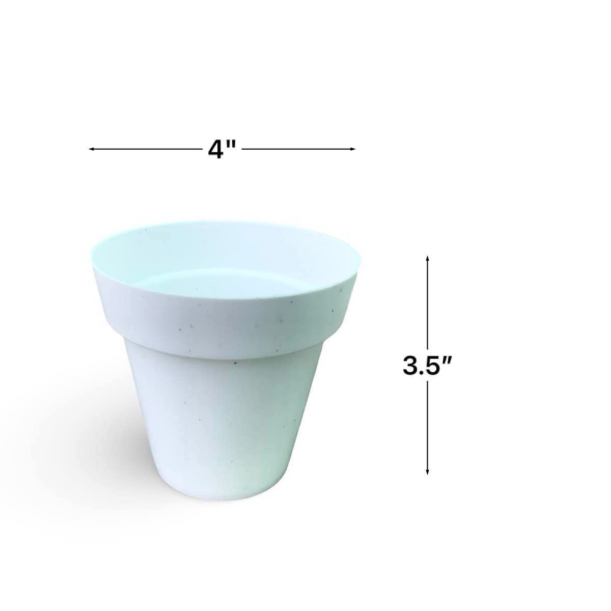 Planters for succulents and cactus set of 5.