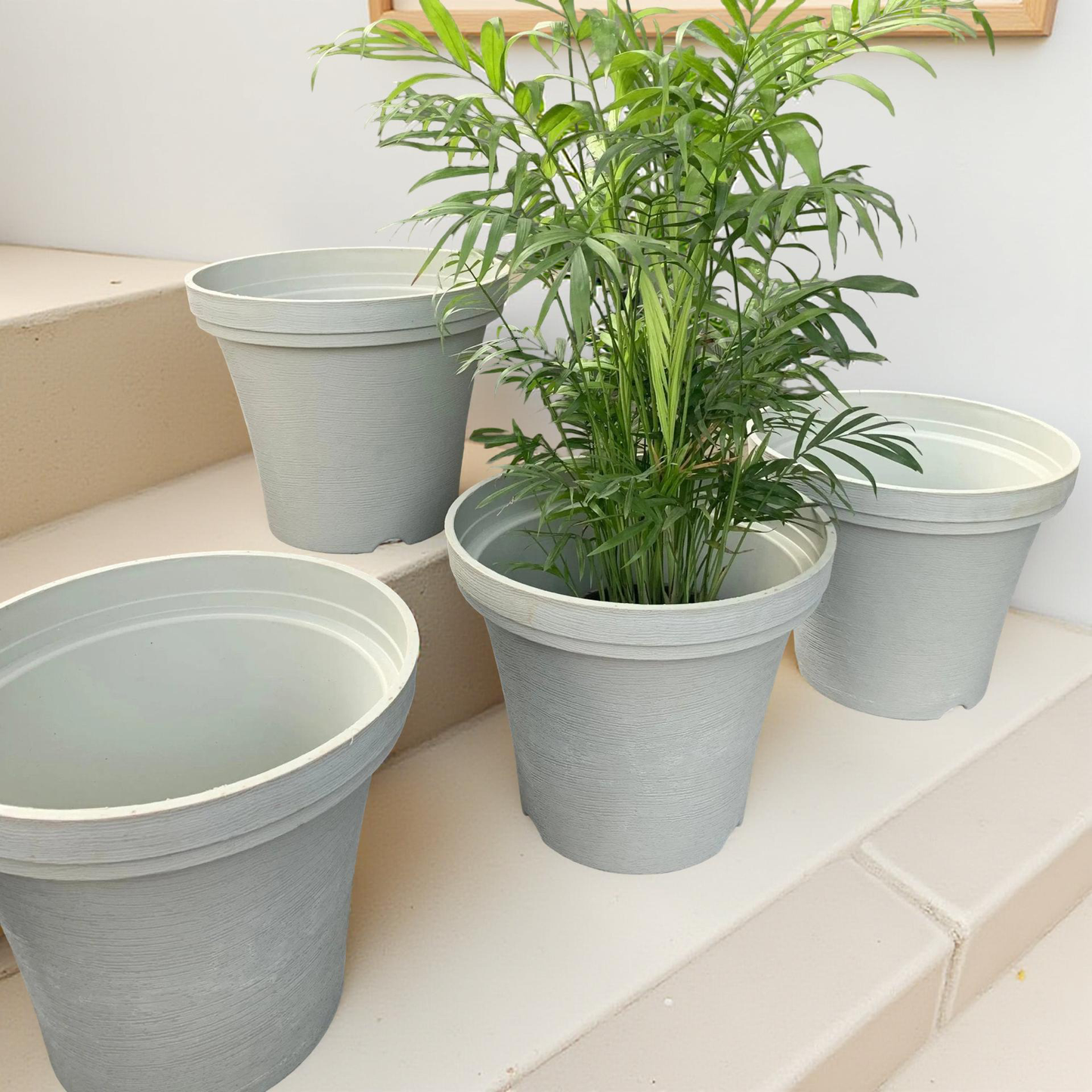 Large planters