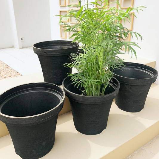 Planters for shrubs