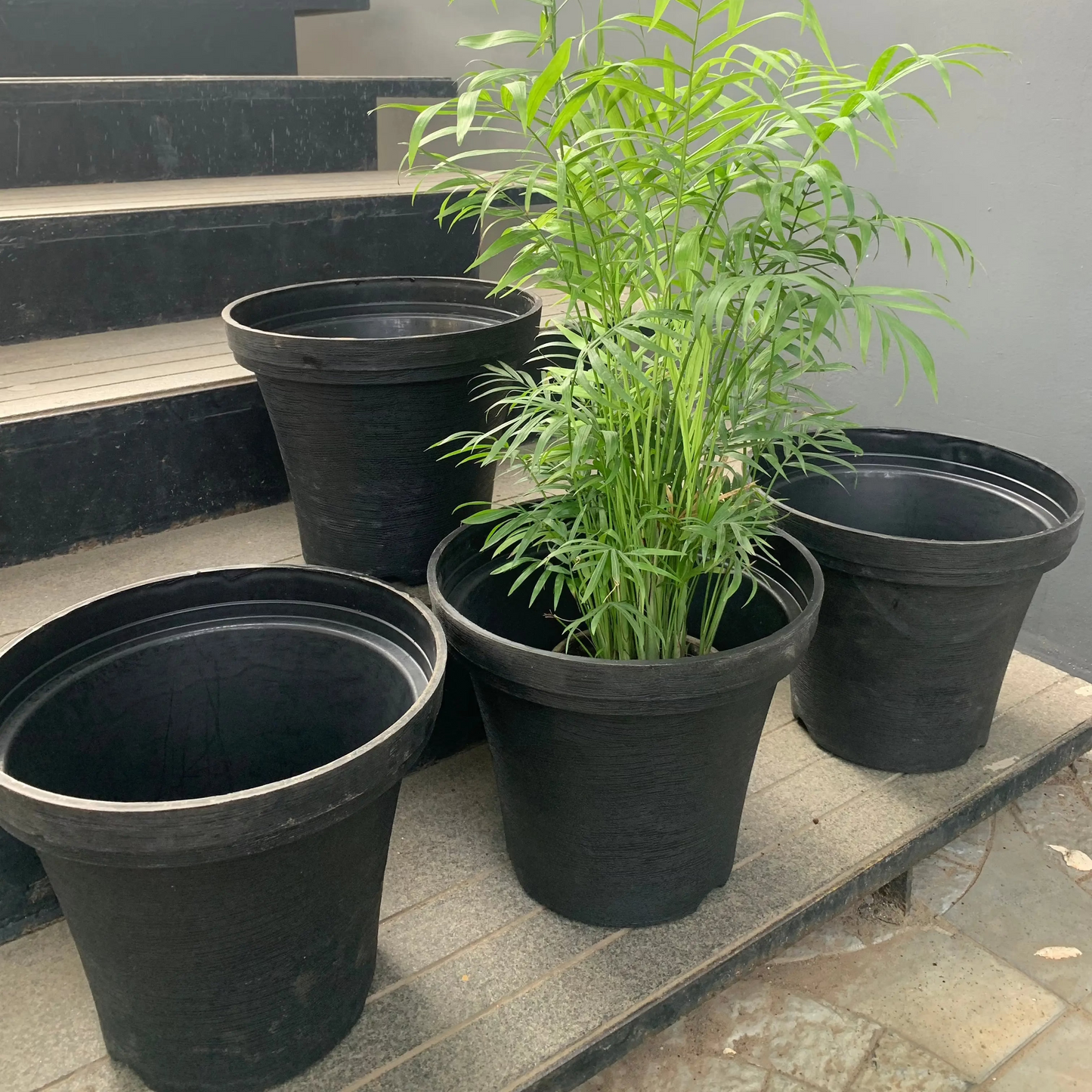 Wonder planters 10.5" size set of 5 - The Plant Shop