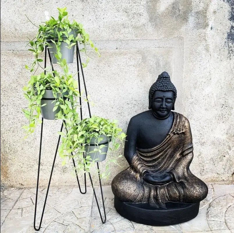 Buy Buddha monk idol, statue online - The Plant Shop