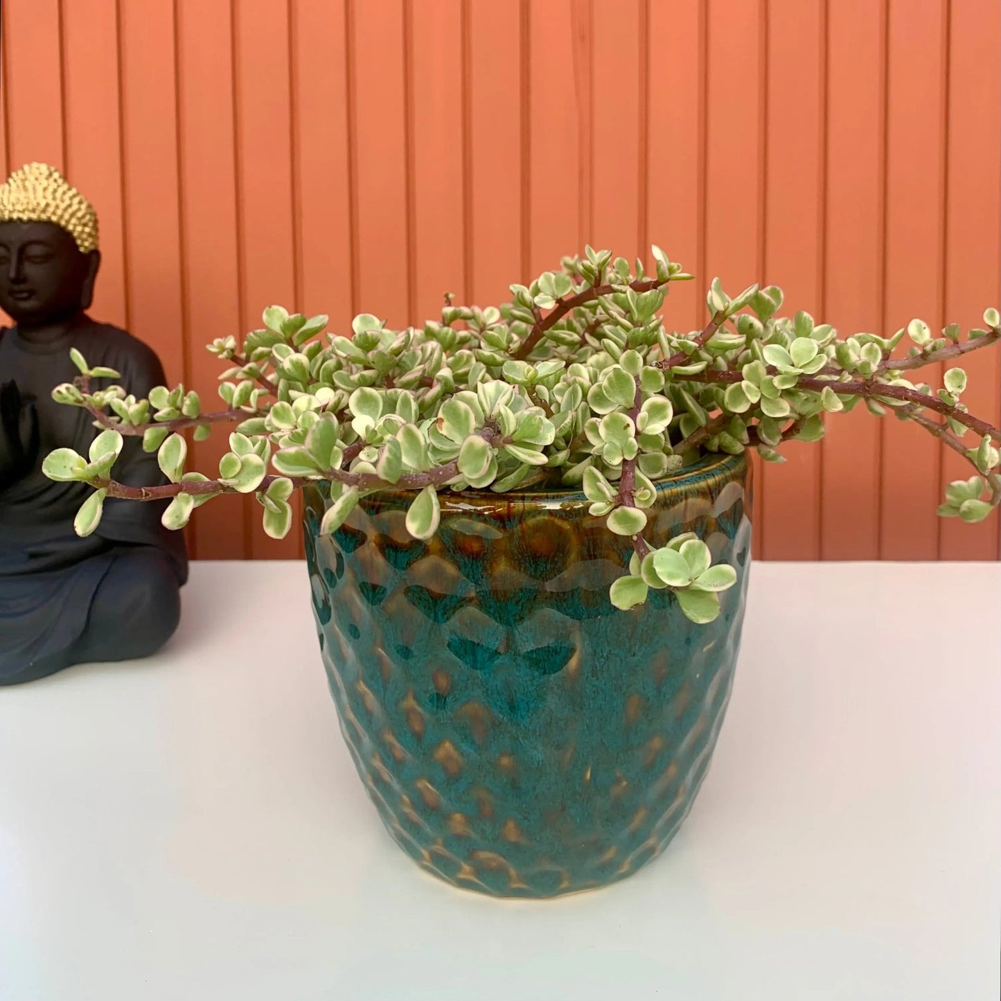 Buy ceramic planter pot deep blue - The Plant Shop
