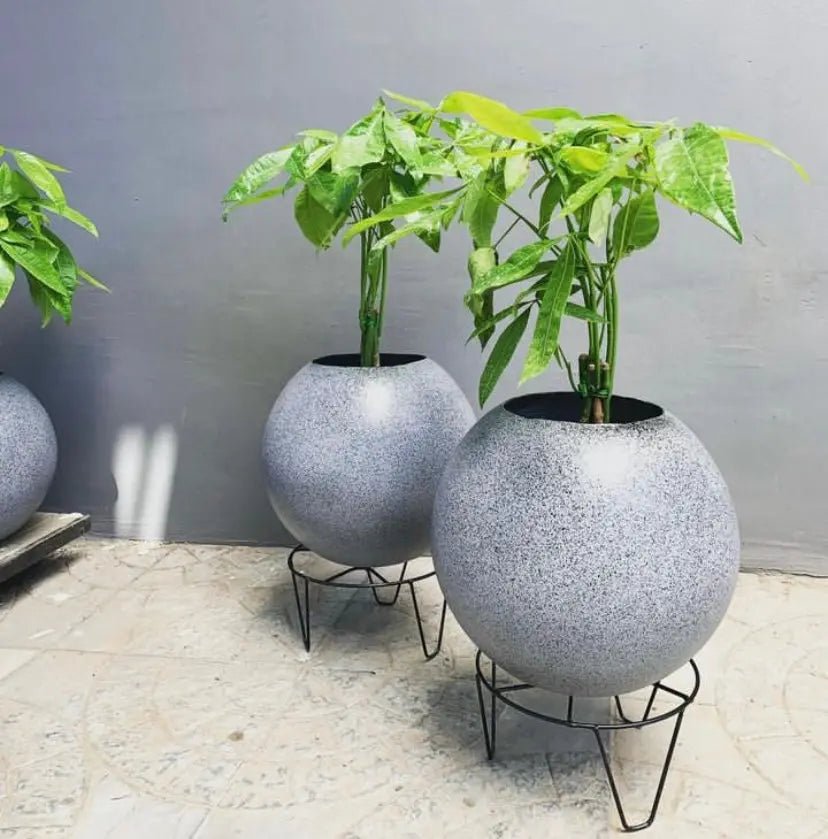 planters and flower pots for outdoor plants - The Plant Shop