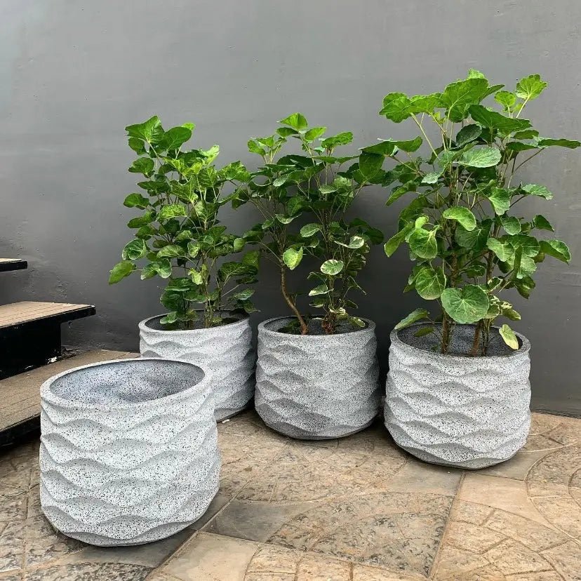 online plant pot shop Living room planters- indoor flower pots ribbed wave style. – The Plant Shop