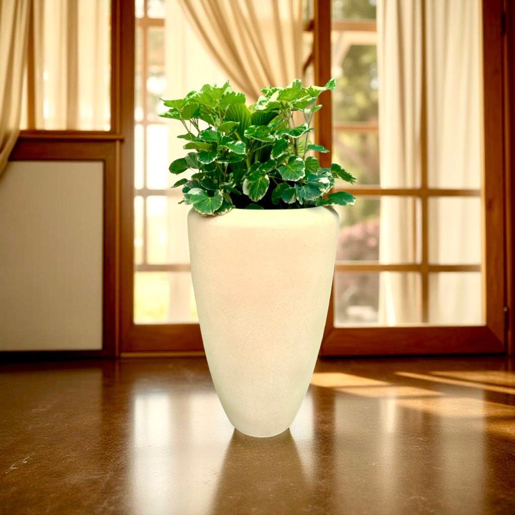 Buy Tulip planter flower pot online. - The Plant Shop