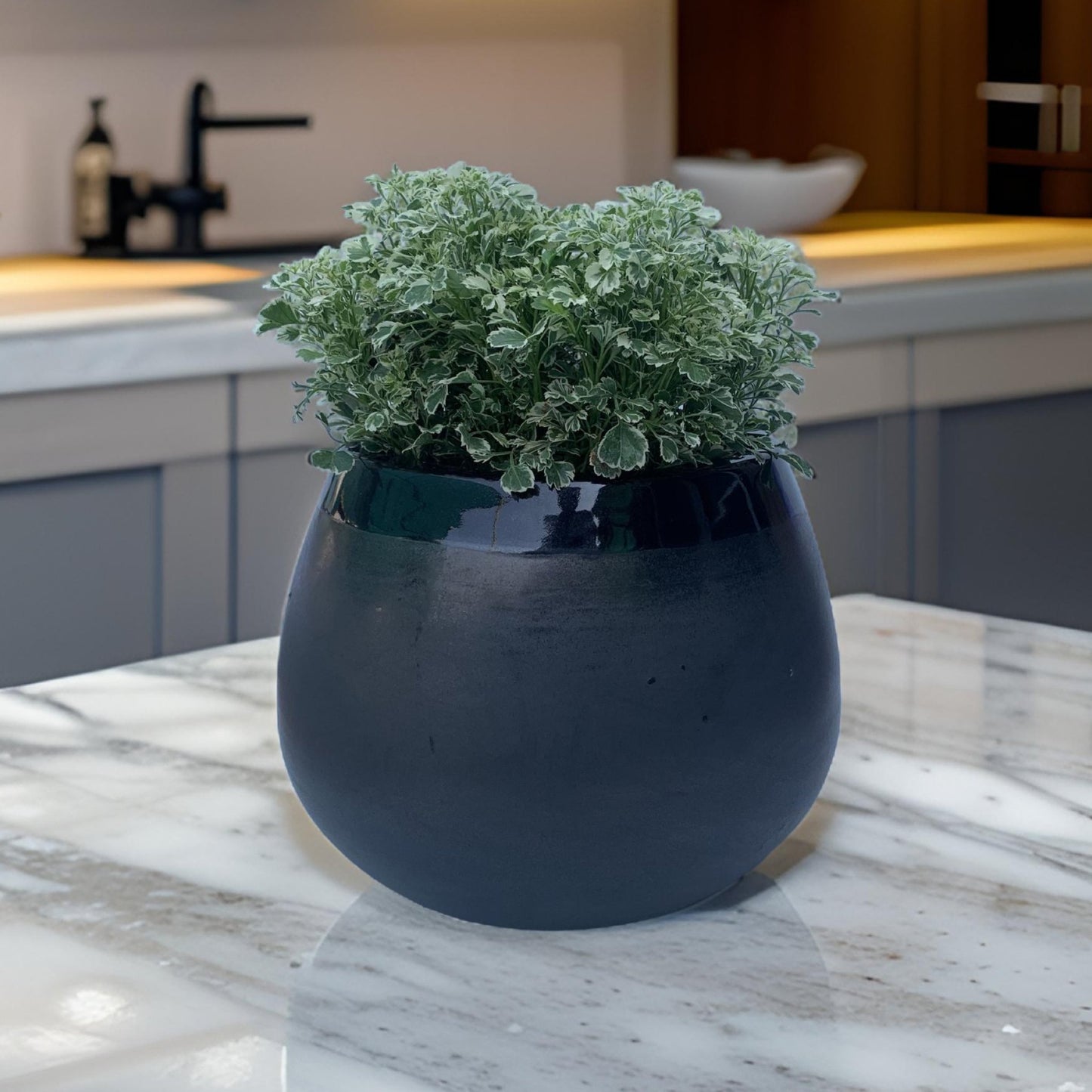 Ceramic pots and desktop planters for indoor plants. - The Plant Shop