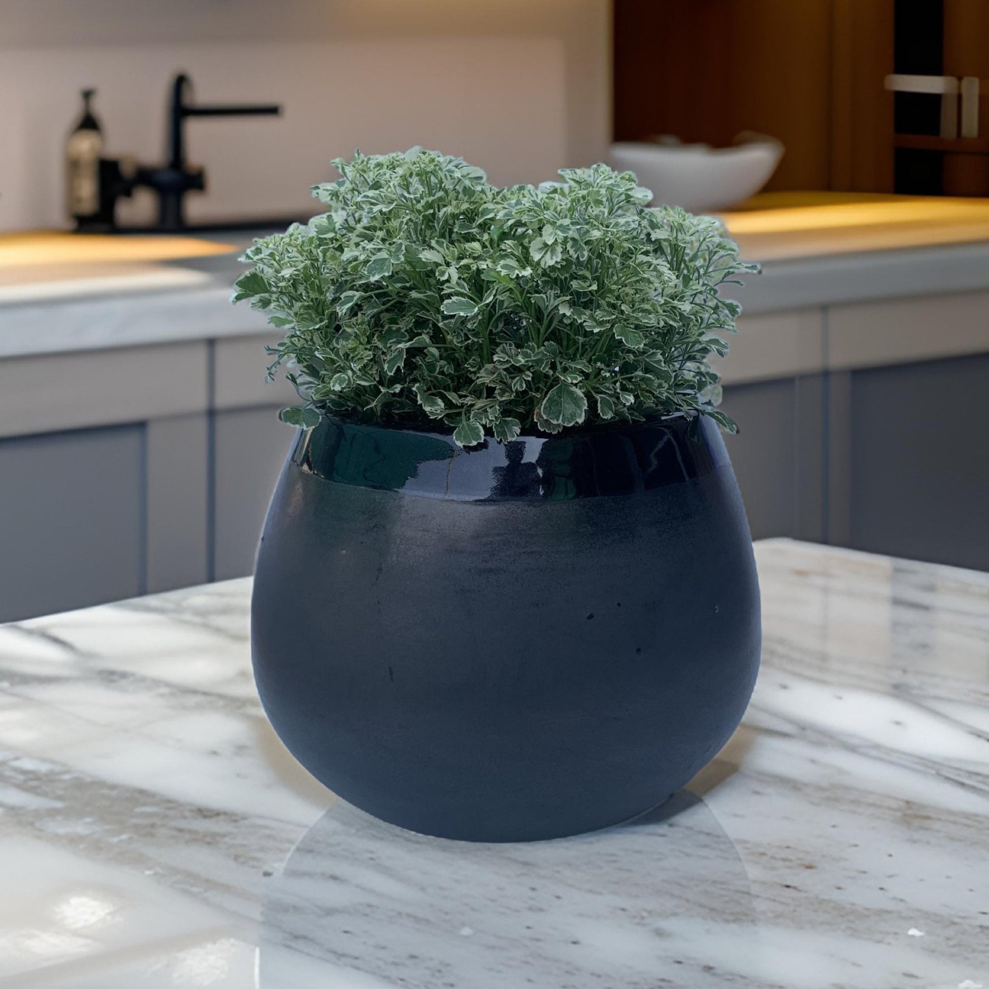Ceramic pots and desktop planters for indoor plants. - The Plant Shop