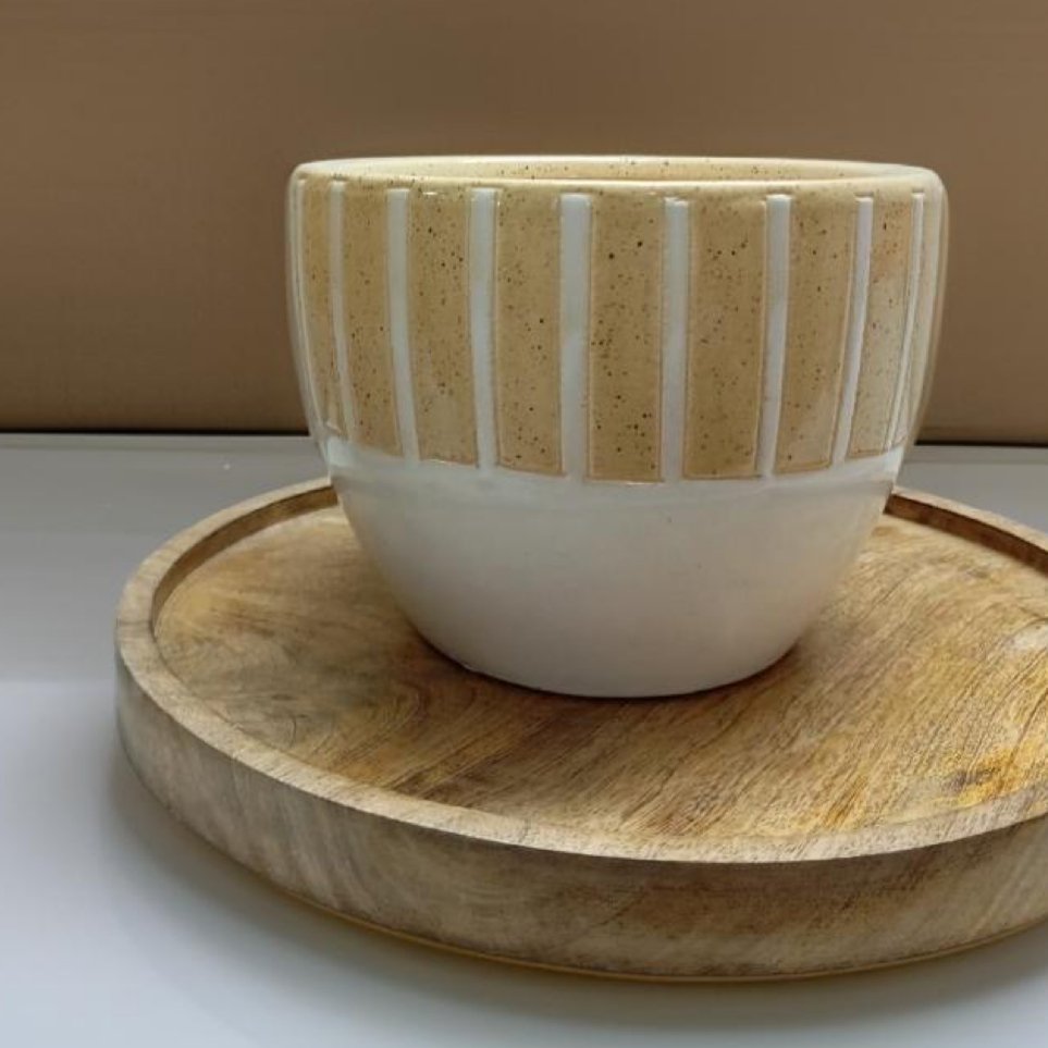 Ceramic pots in Chennai Style - Stylish planters - The Plant Shop
