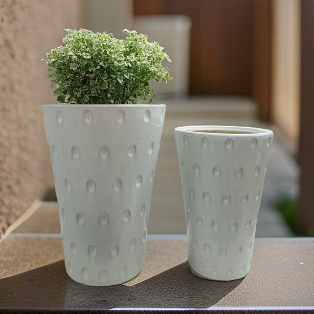 ceramic plant pots in hyderabad Ceramic Pots in Hyderabad dots design-stylish planters. – The Plant Shop
