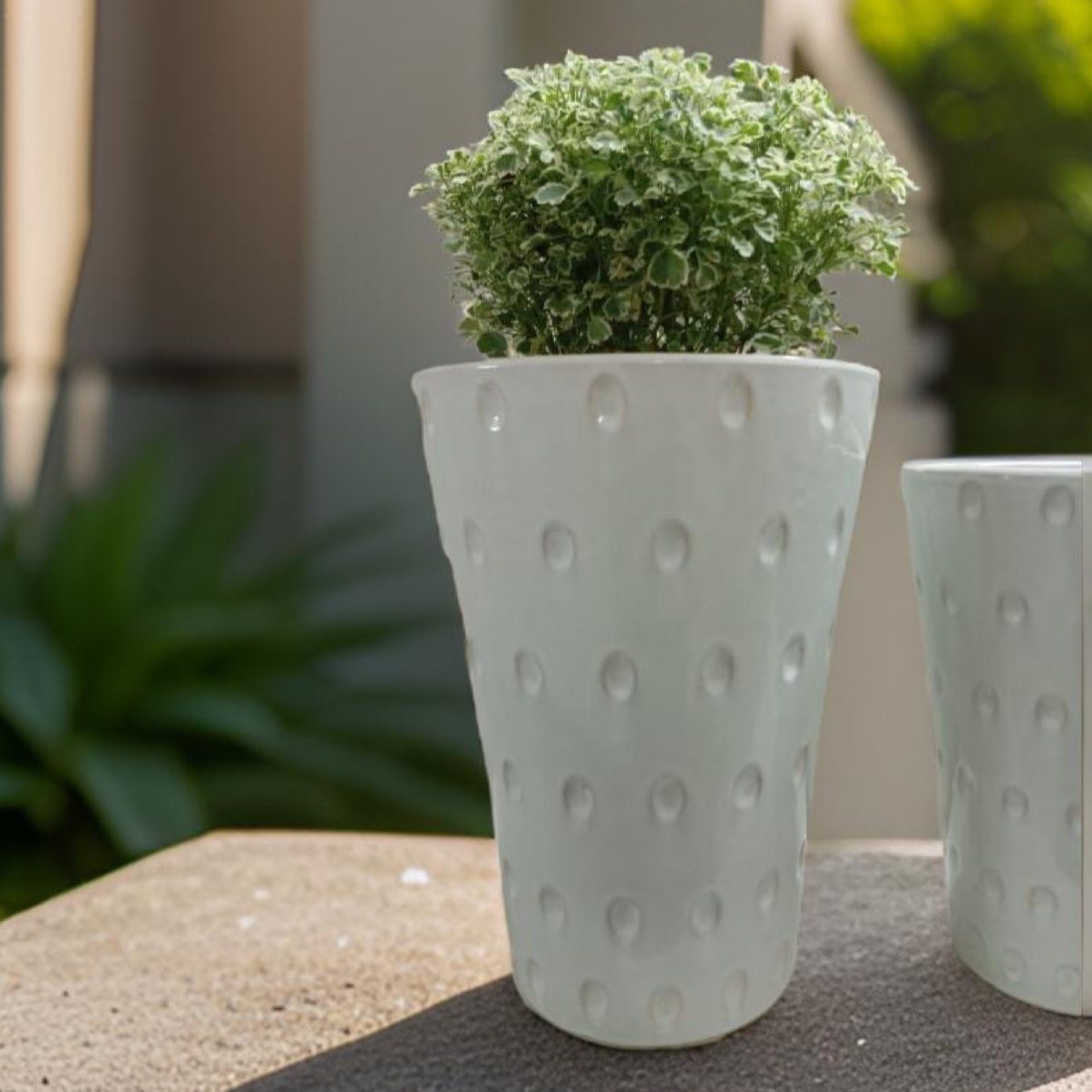 Ceramic Pots in Hyderabad dots design-stylish planters. - The Plant Shop