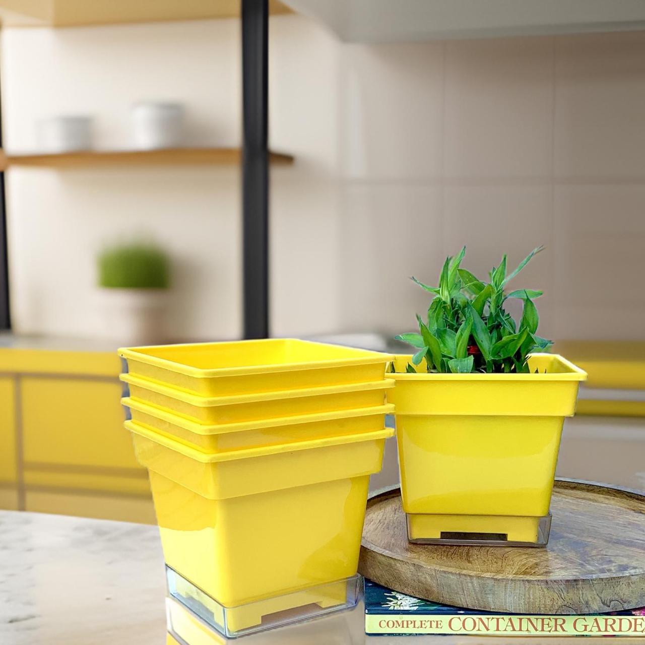 Flower pots - decorative planters made from plastic in vibrant colors. - The Plant Shop