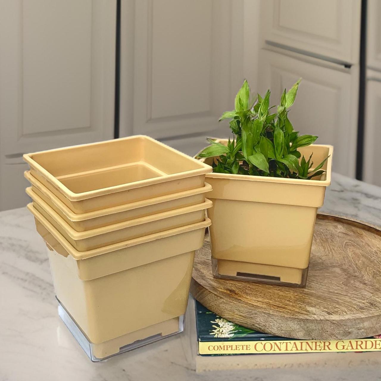 Flower pots - decorative planters made from plastic in vibrant colors. - The Plant Shop