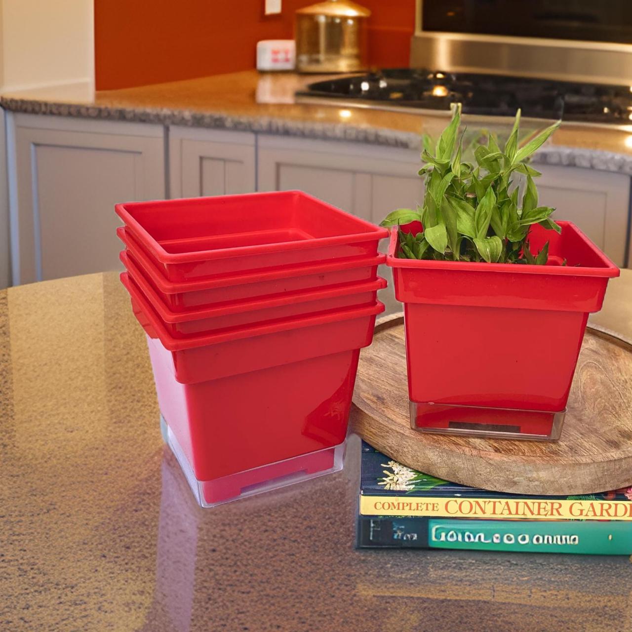 Flower pots - decorative planters made from plastic in vibrant colors. - The Plant Shop