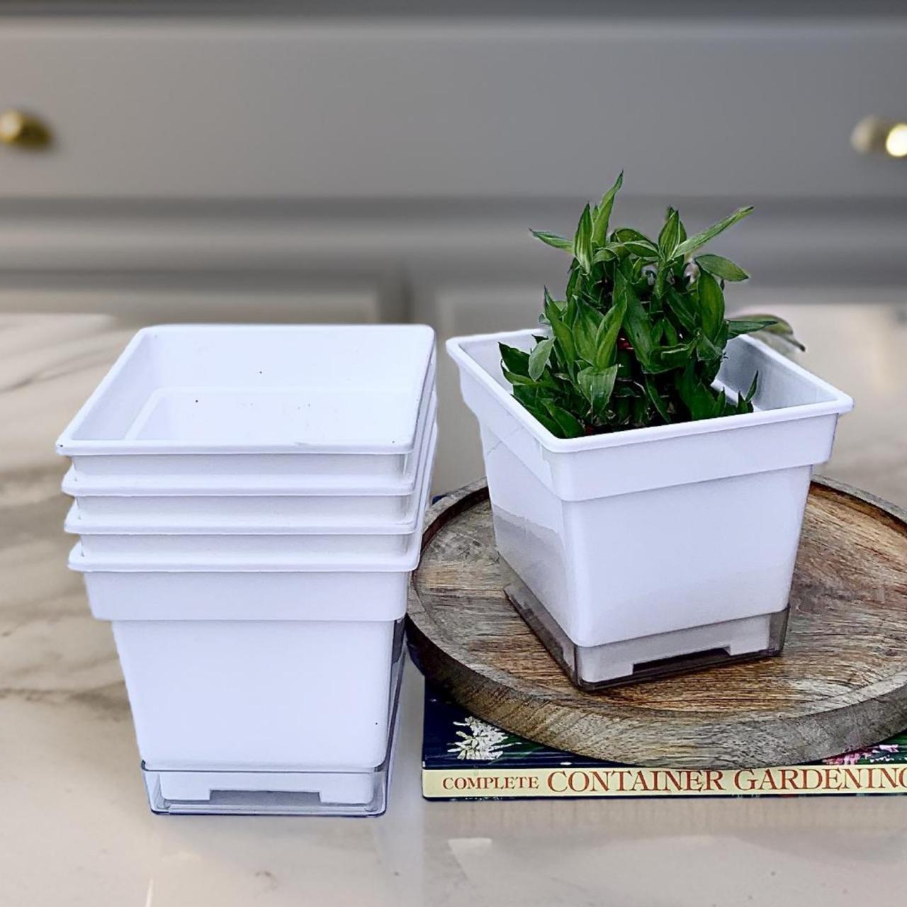 Flower pots - decorative planters made from plastic in vibrant colors. - The Plant Shop