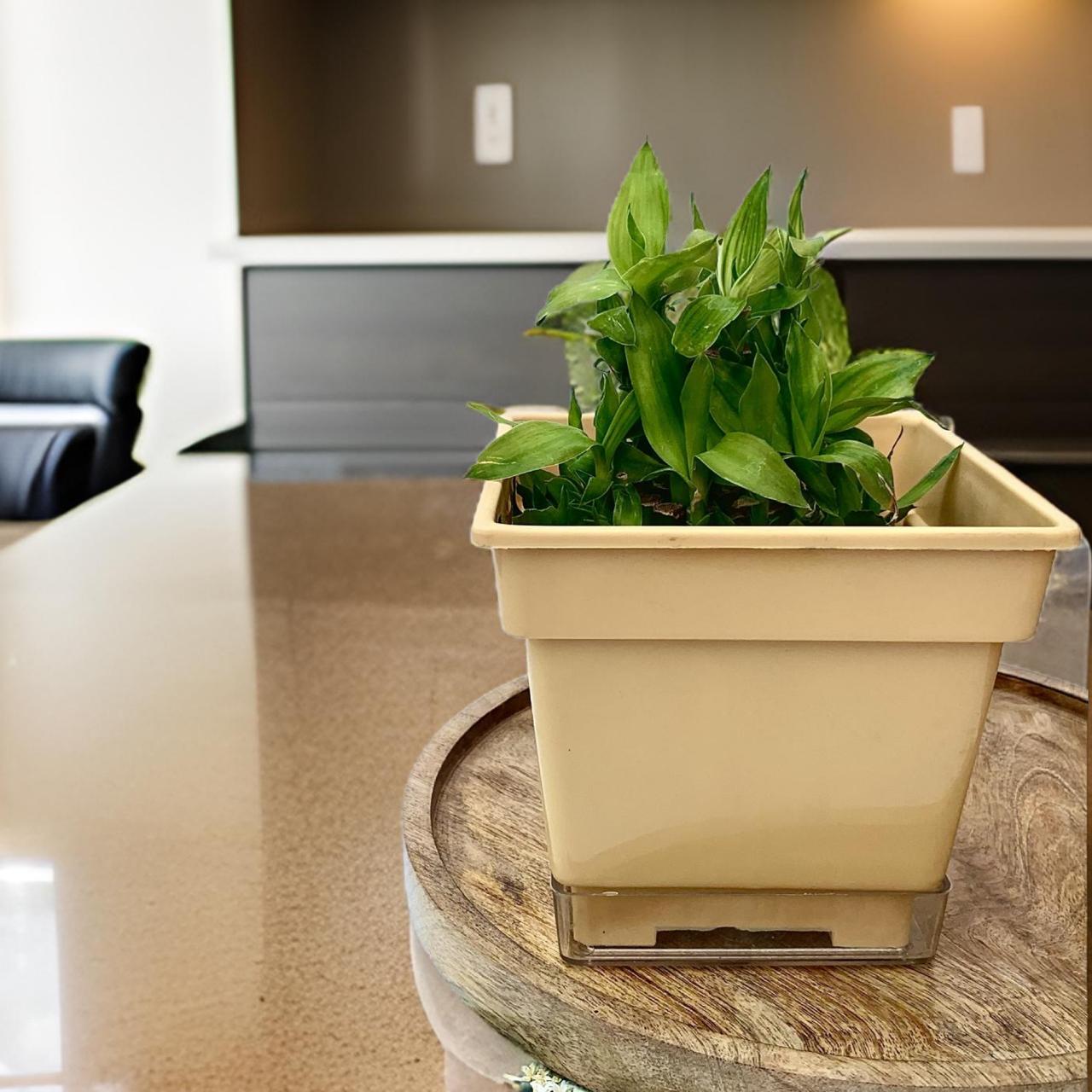 Flower pots - decorative planters made from plastic in vibrant colors. - The Plant Shop