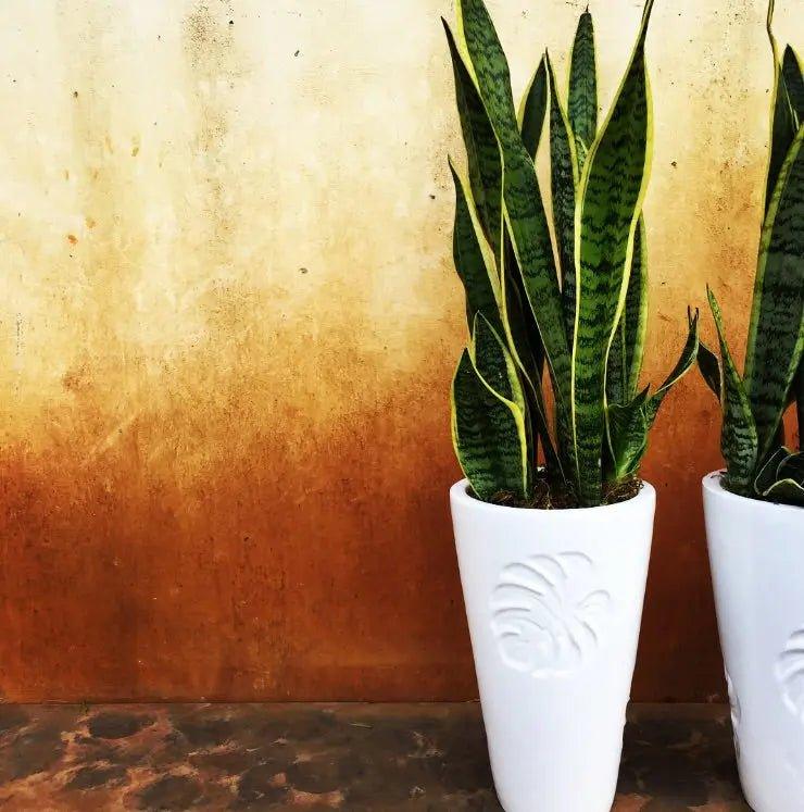 Leaf planter - The Plant Shop