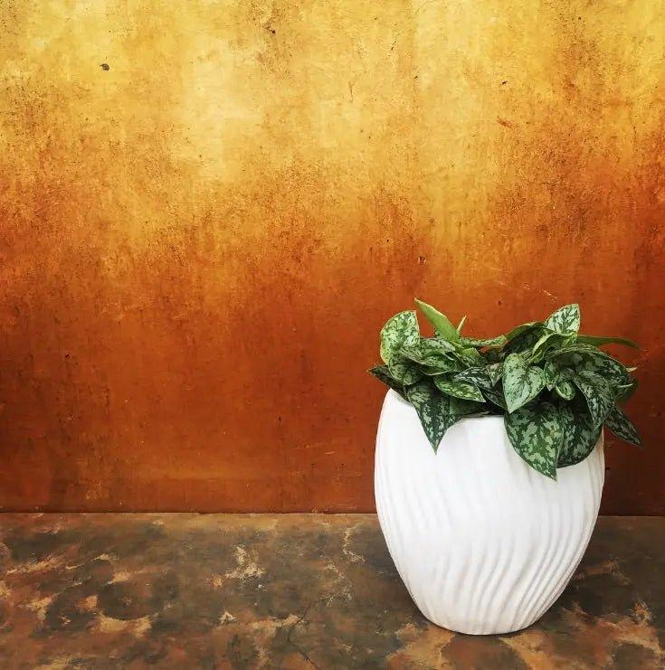Oval wave planter - The Plant Shop