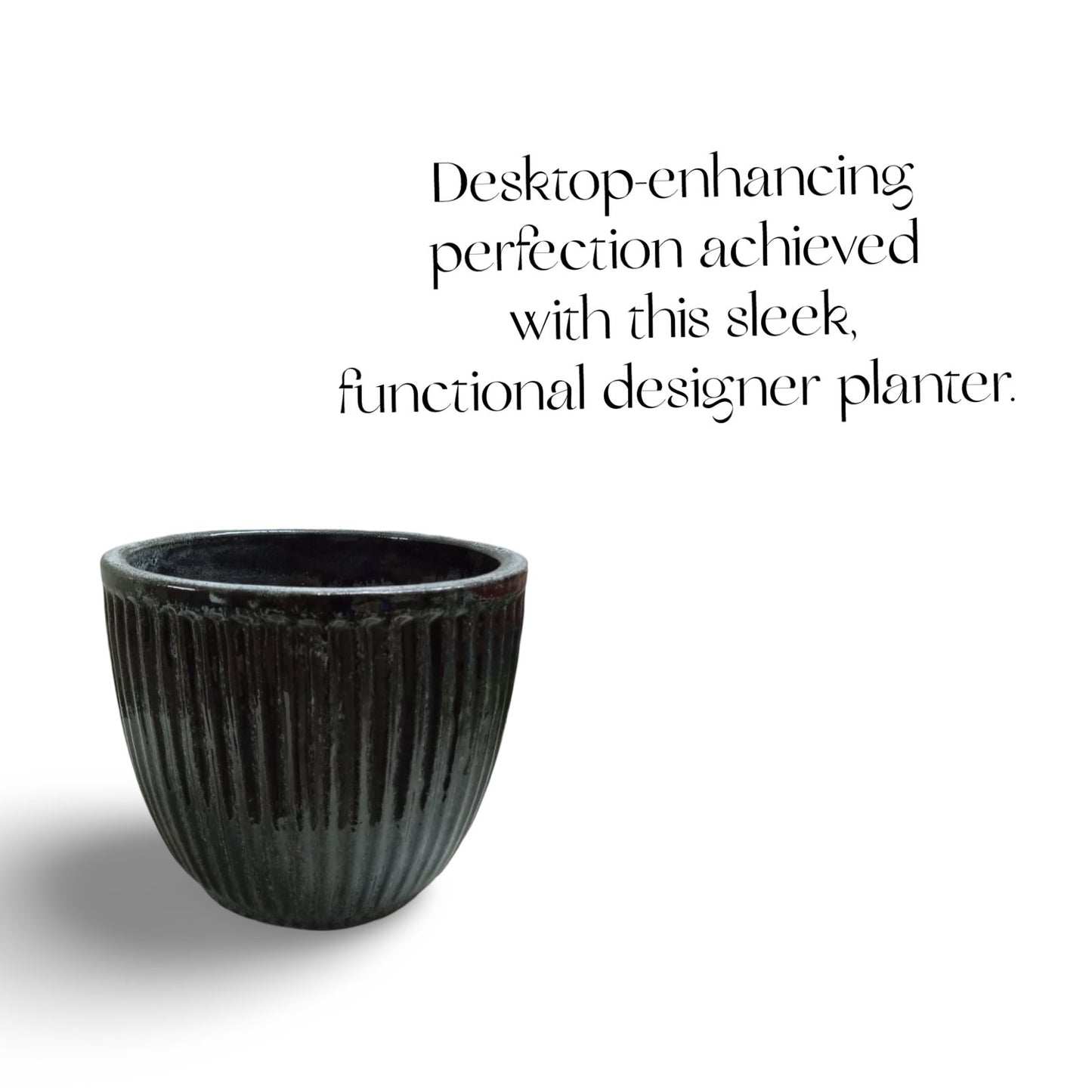 Plant Pots made from ceramic: Stylish Indoor Planters. - The Plant Shop