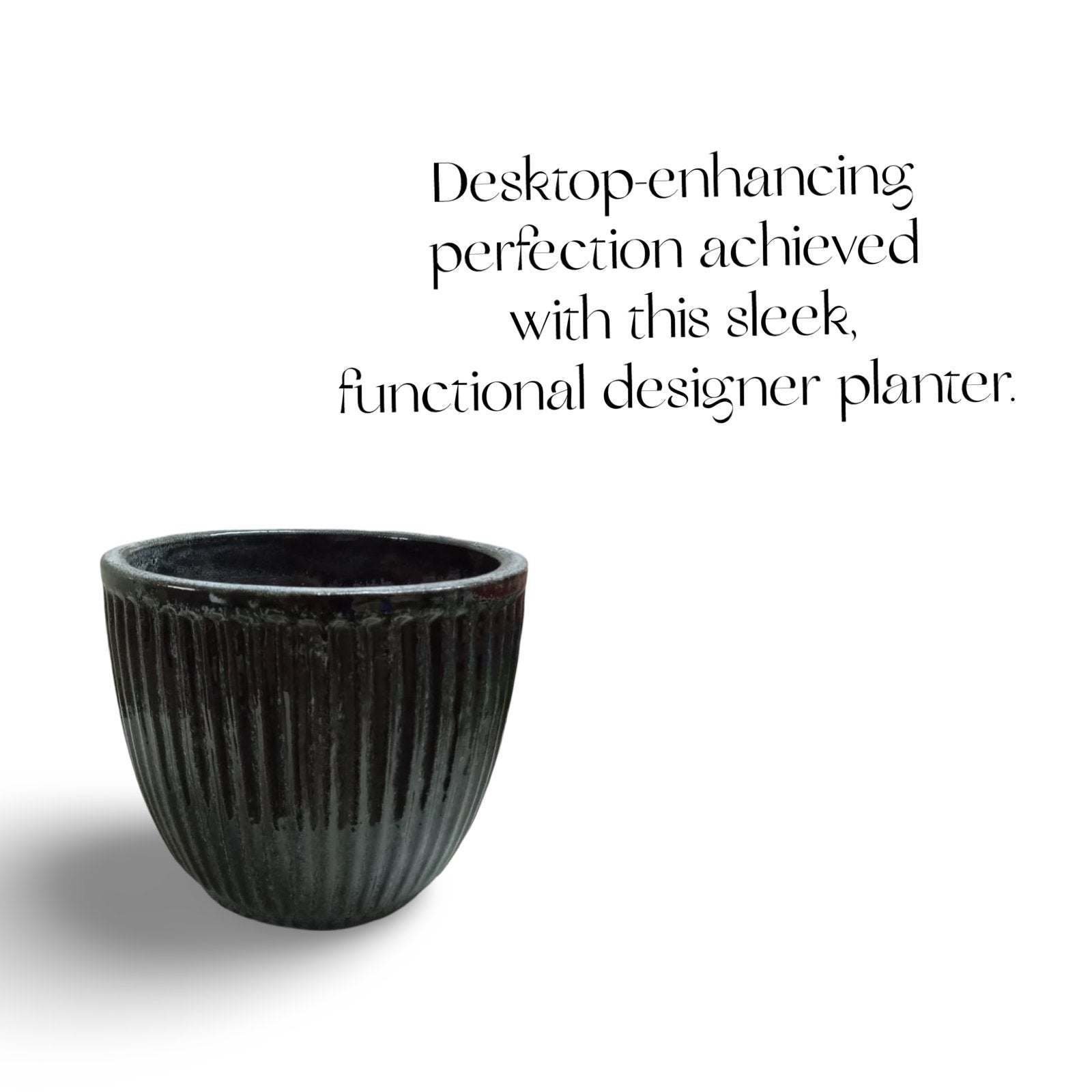Plant Pots made from ceramic: Stylish Indoor Planters. - The Plant Shop