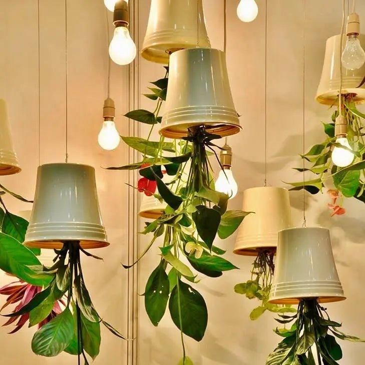 upside down indoor plants Reversible planters – The Plant Shop