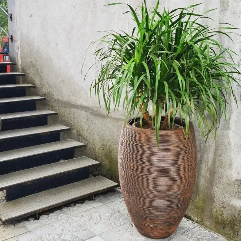 Rib round planter large - The Plant Shop