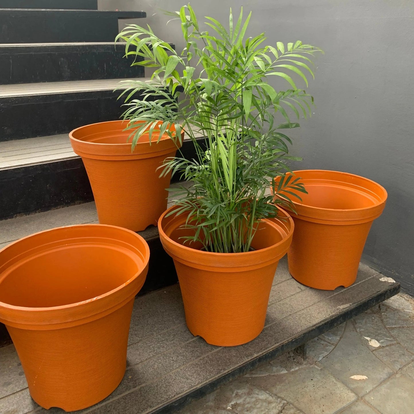 plastic planters