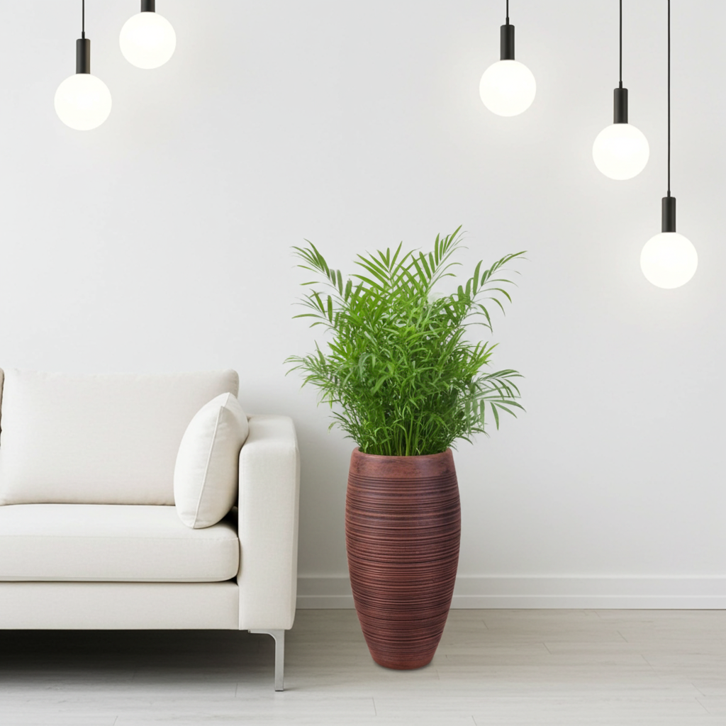 living room planters