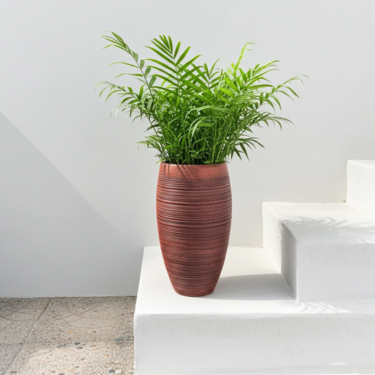 Planter ribbed style- a perfect pot for indoor plants.