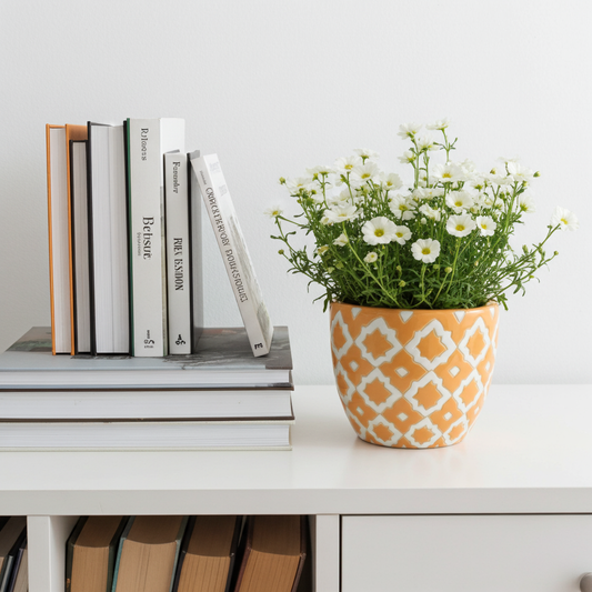 ceramic planter for your indoor plants