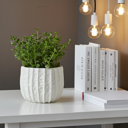 Table top planter for bed rooms.