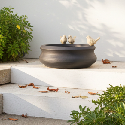 A perfect companion for your garden