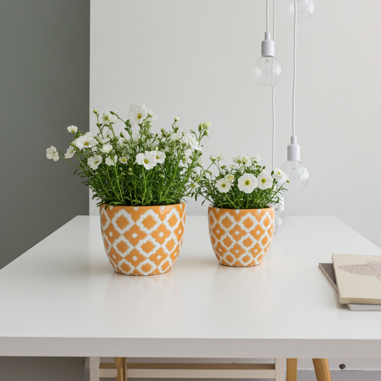 planters for desktop