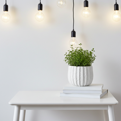 Table top planter for bed rooms.