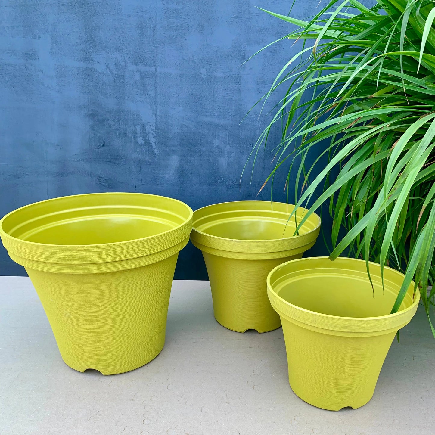 Wonder planter 10.5”, 12.5”, 15.5” combo - The Plant Shop