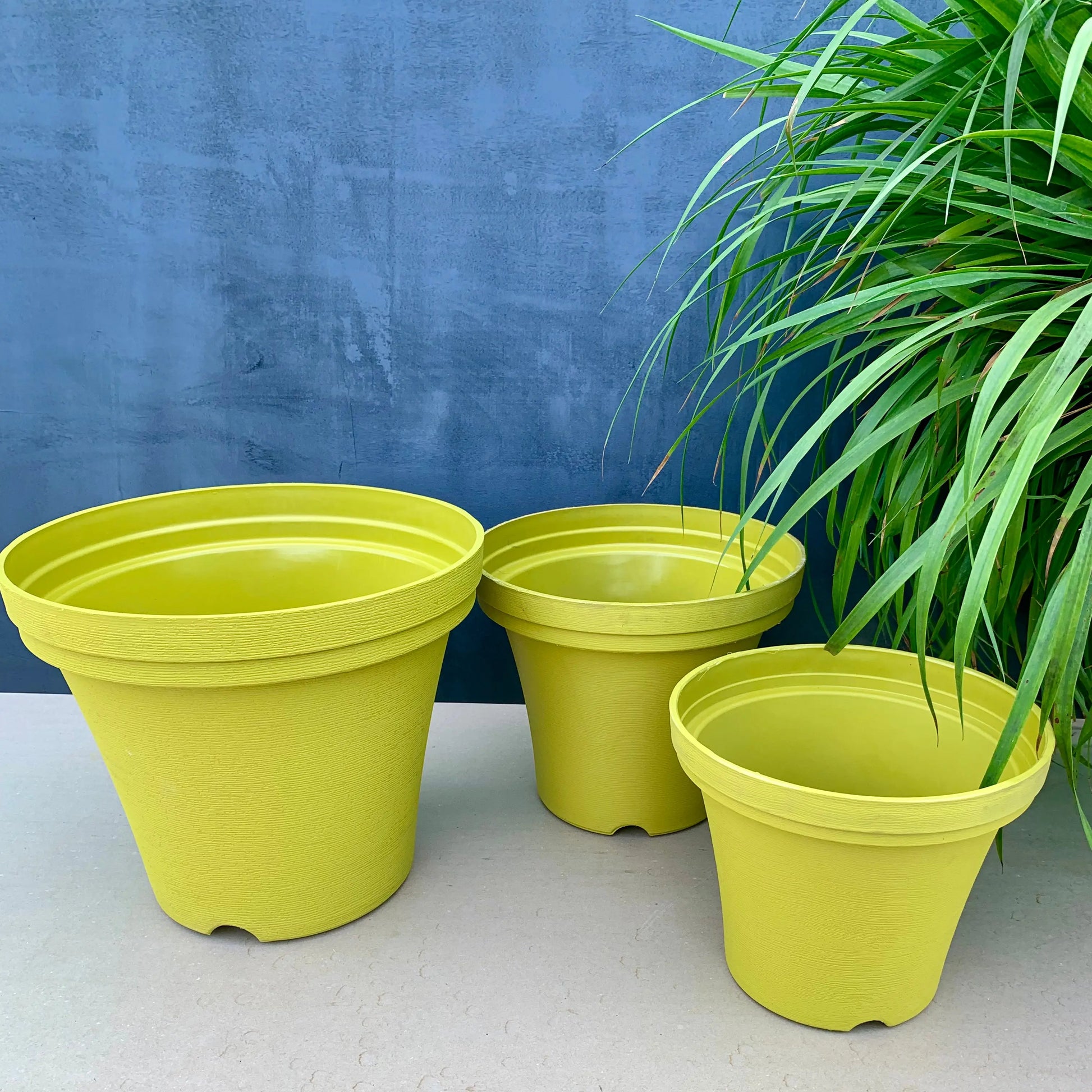 Wonder planter 10.5”, 12.5”, 15.5” combo - The Plant Shop
