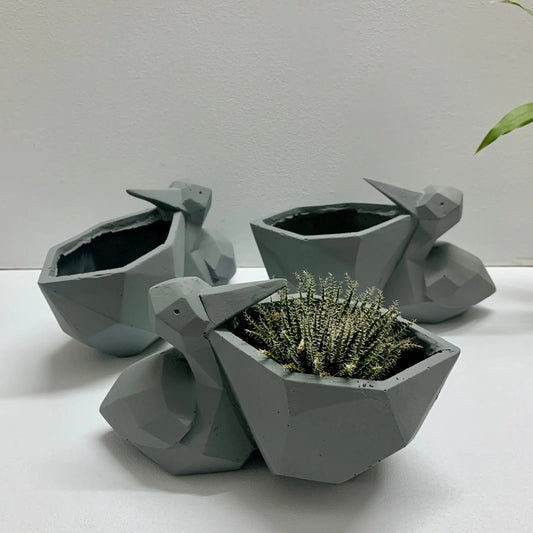 Planters for Succulents and Cactus. - The Plant Shop
