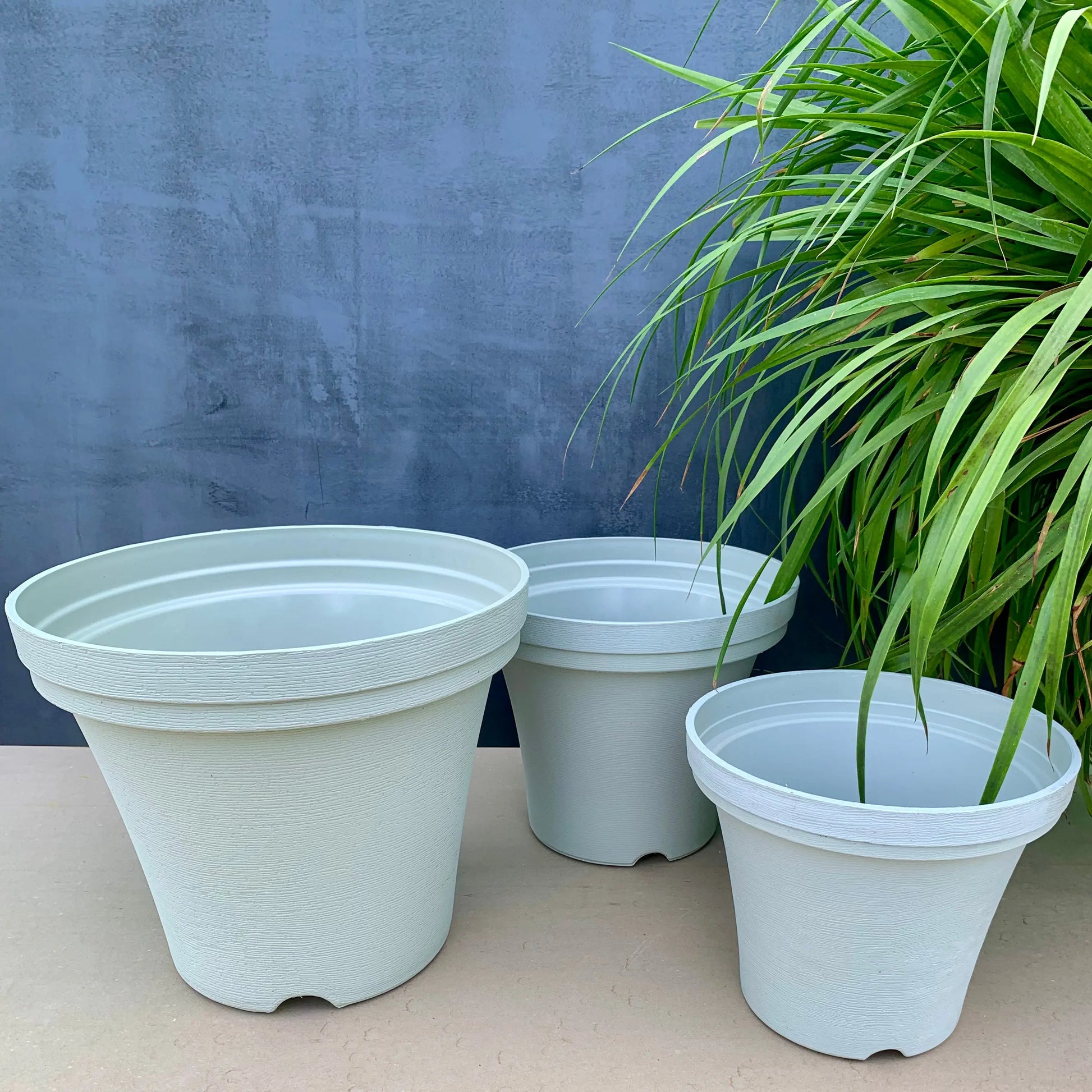 Wonder planter 10.5”, 12.5”, 15.5” combo - The Plant Shop